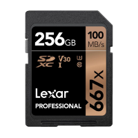 Карта памяти Lexar SDXC 256Gb V30 UHS-I U3